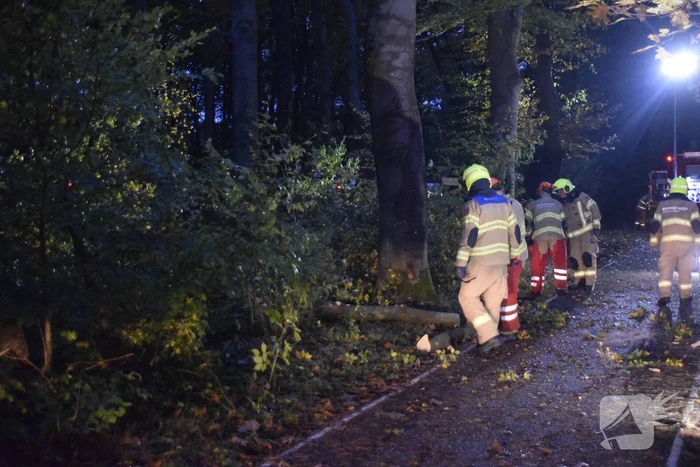 Boom dreigt op weg te vallen