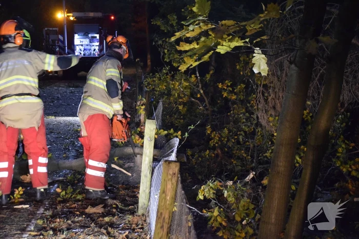 Boom dreigt op weg te vallen