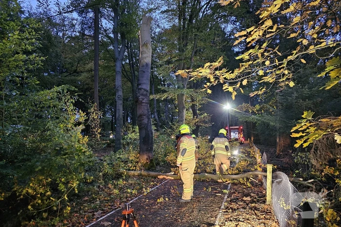 Boom dreigt op weg te vallen
