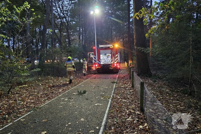 Boom dreigt op weg te vallen