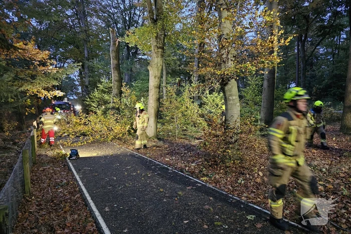 Boom dreigt op weg te vallen