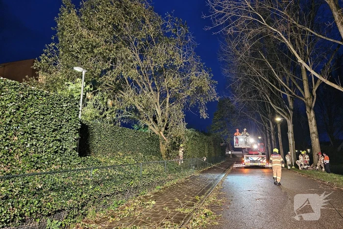 Boom dreigt op carport van huisartsenpost te vallen