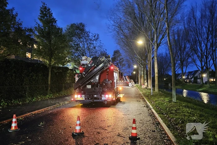 Boom dreigt op carport van huisartsenpost te vallen