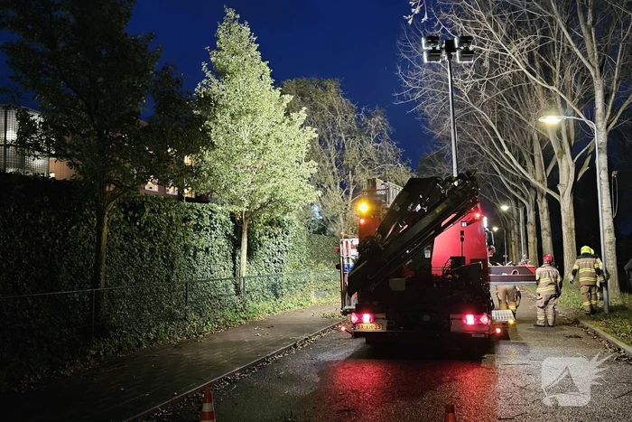 Boom dreigt op carport van huisartsenpost te vallen