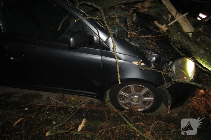Auto zwaar beschadigd door omgevallen boom