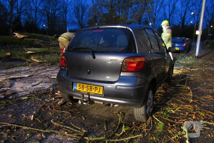 Auto zwaar beschadigd door omgevallen boom