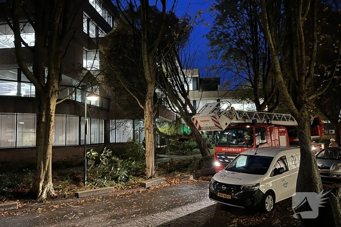 Grote boom waait tegen gebouw