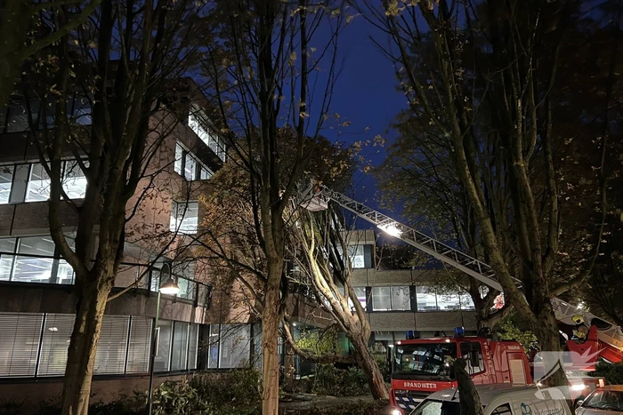 Grote boom waait tegen gebouw