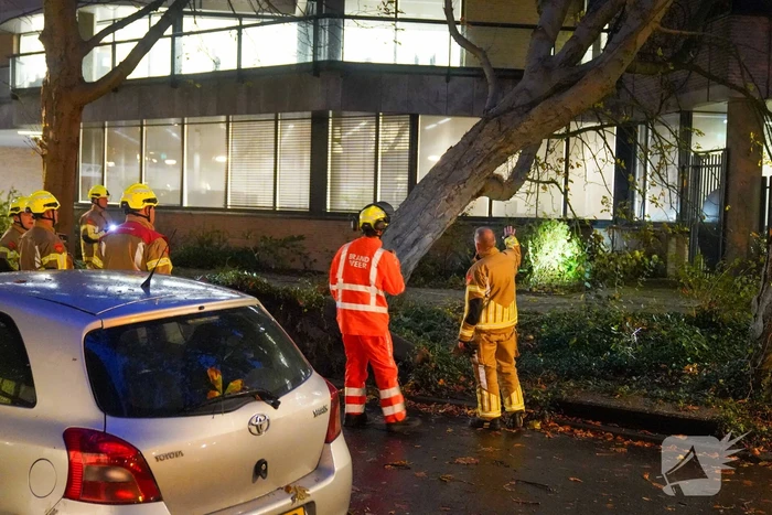 Grote boom waait tegen gebouw