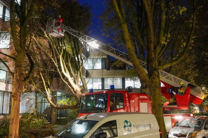 Grote boom waait tegen gebouw