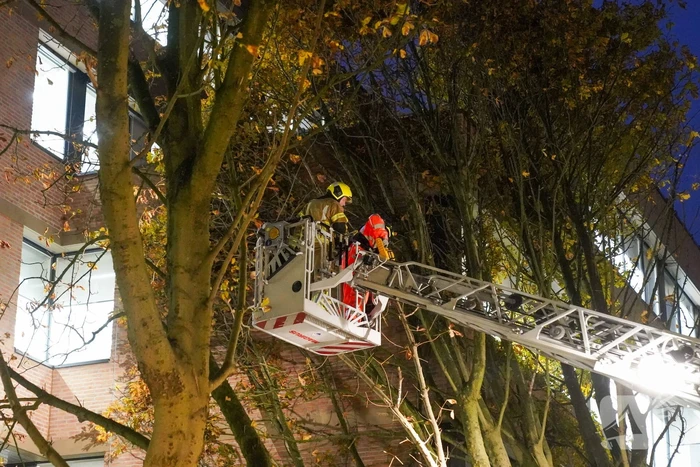 Grote boom waait tegen gebouw