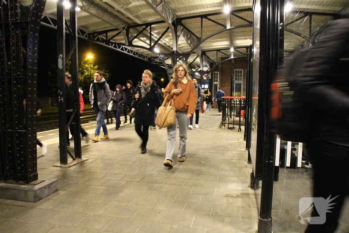 Treinverkeer stilgelegd wegens boom op spoor