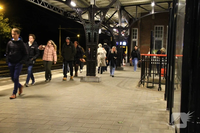 Treinverkeer stilgelegd wegens boom op spoor
