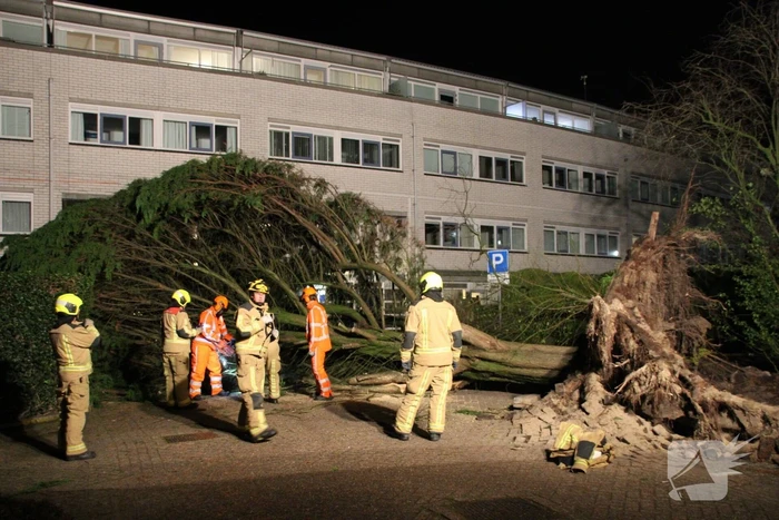 Gigantische boom valt om voor ingang van gebouw