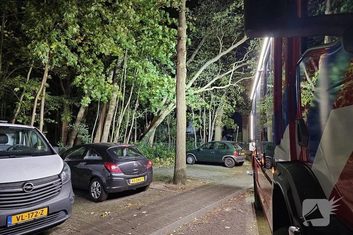 Boom dreigt op auto te vallen