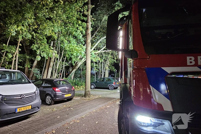Boom dreigt op auto te vallen
