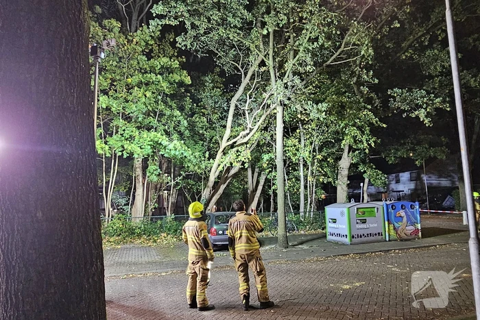 Boom dreigt op auto te vallen
