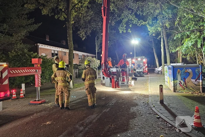 Boom dreigt op auto te vallen