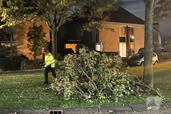 Deel van boom komt op straat terecht door harde wind