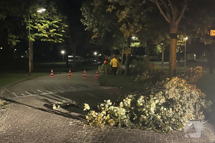 Deel van boom komt op straat terecht door harde wind