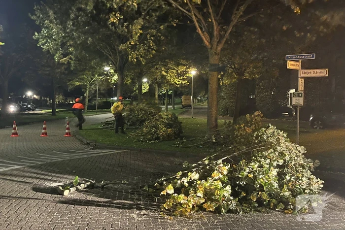 natuur hilsondusstraat strijen