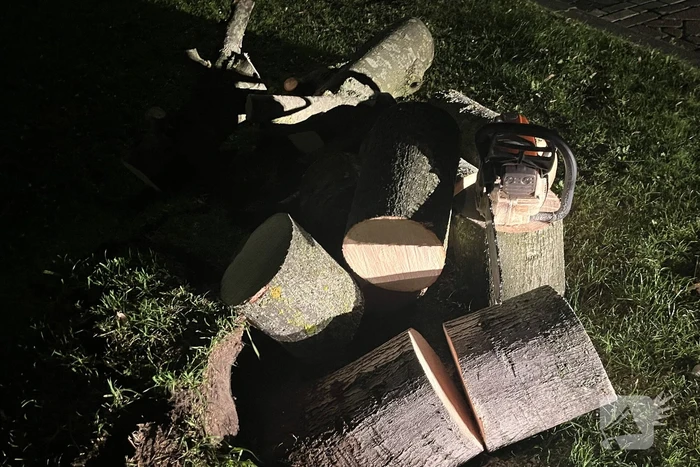 Deel van boom komt op straat terecht door harde wind