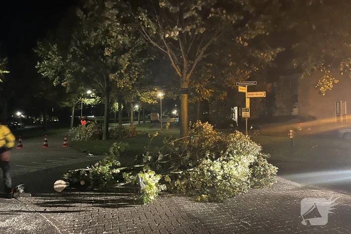 Deel van boom komt op straat terecht door harde wind