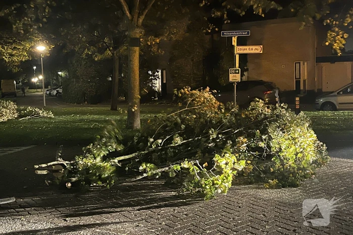 Deel van boom komt op straat terecht door harde wind