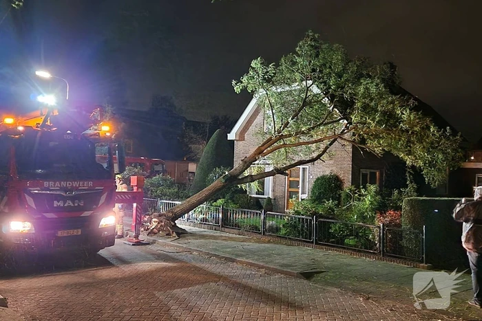 Boom belandt tegen woning door storm