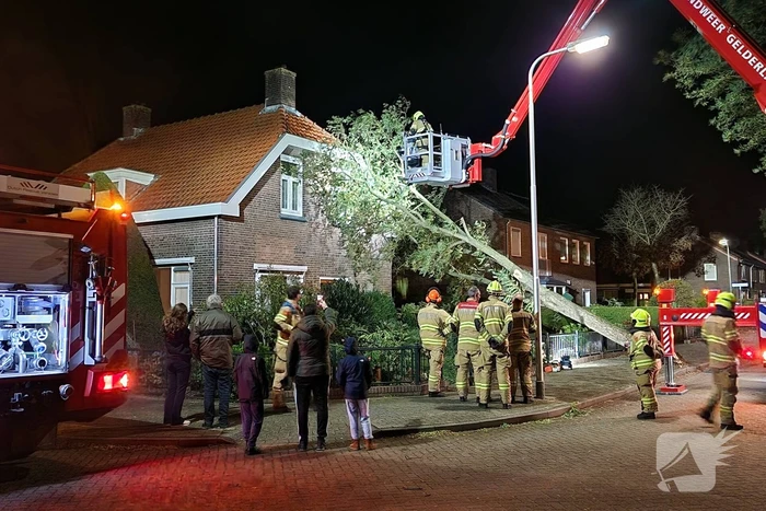 natuur acacialaan bennekom