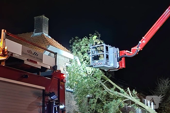Boom belandt tegen woning door storm