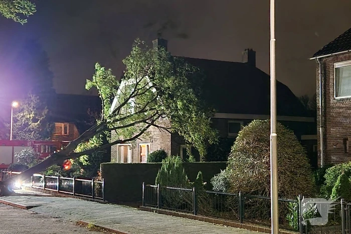 Boom belandt tegen woning door storm
