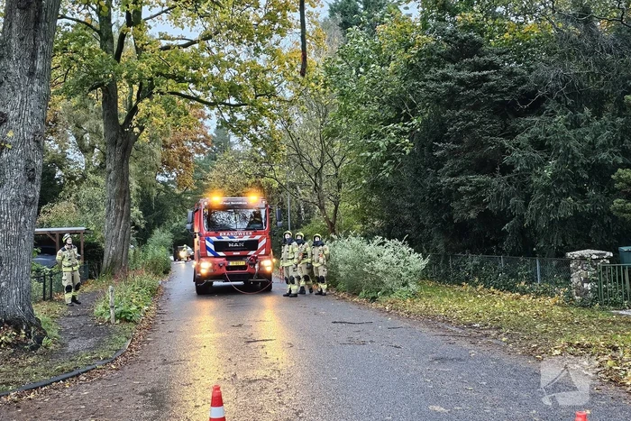 Brandweer verwijdert gevaarlijk hangende tak uit boom