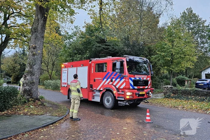 Brandweer verwijdert gevaarlijk hangende tak uit boom