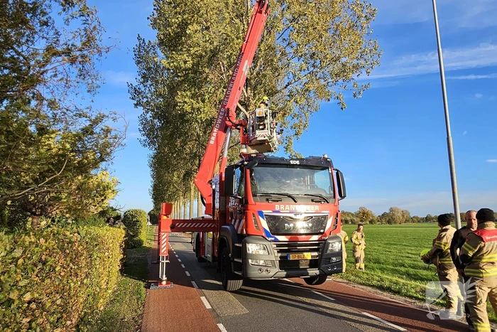 Brandweer ingezet voor gevaarlijk hangende tak