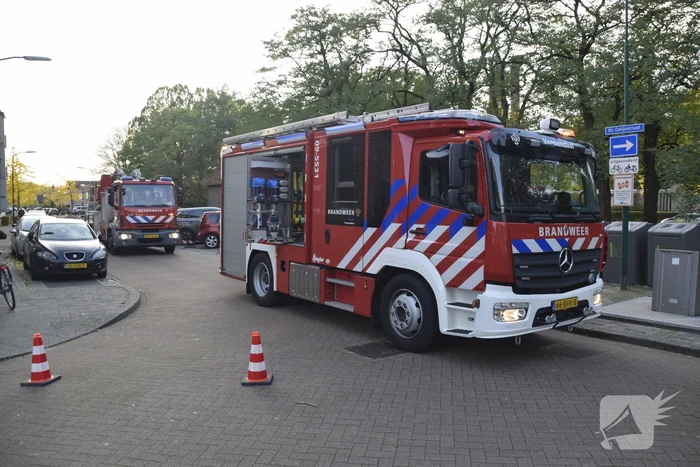 Brandweer verwijdert loshangende tak