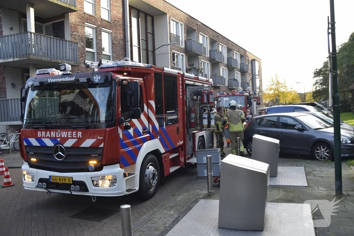 Brandweer verwijdert loshangende tak