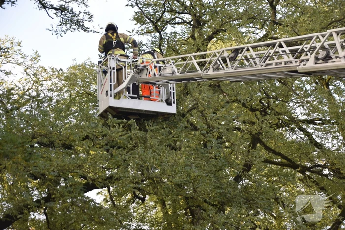 Brandweer verwijdert loshangende tak