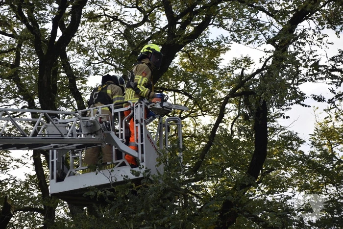 Brandweer verwijdert loshangende tak