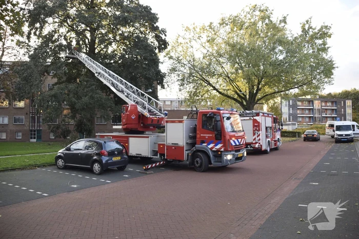 natuur david tenierslaan veenendaal