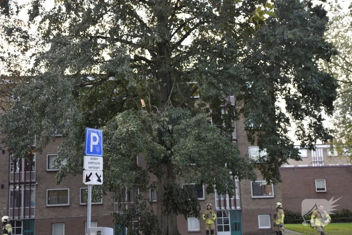 Tak van grote boom breekt af
