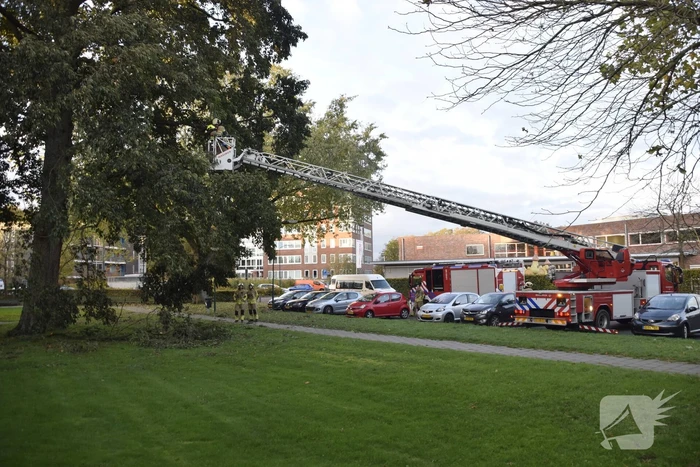 Tak van grote boom breekt af