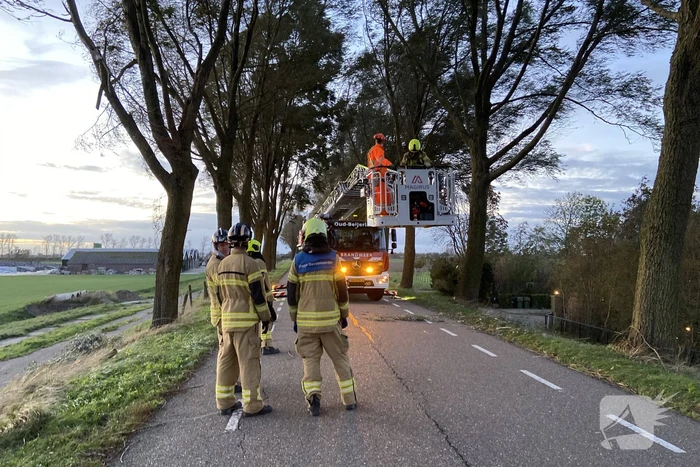 natuur molendijk numansdorp