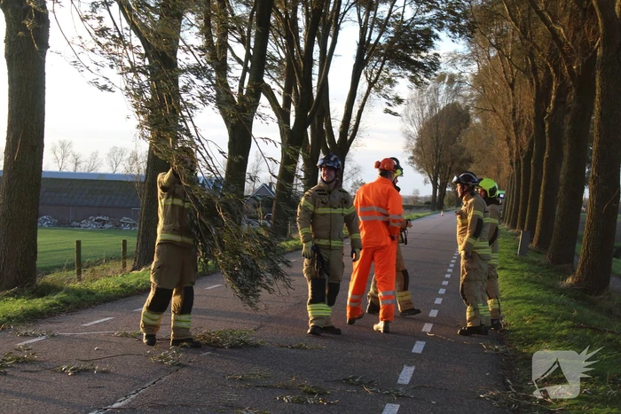 Brandweer ingezet voor afgebroken tak