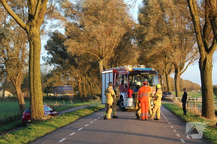 Brandweer ingezet voor afgebroken tak