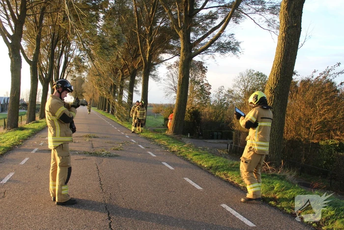 Brandweer ingezet voor afgebroken tak