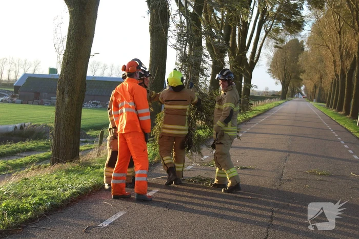 Brandweer ingezet voor afgebroken tak