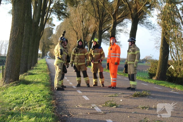 Brandweer ingezet voor afgebroken tak