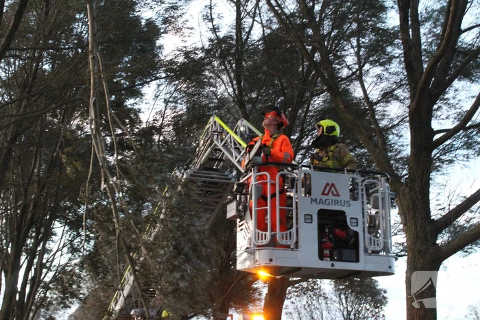 Brandweer ingezet voor afgebroken tak