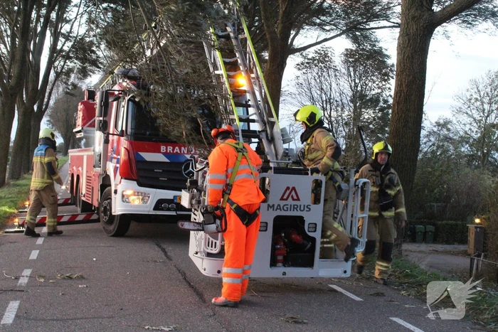 Brandweer ingezet voor afgebroken tak